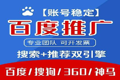 网络推广与竞价广告：双管齐下的策略案例